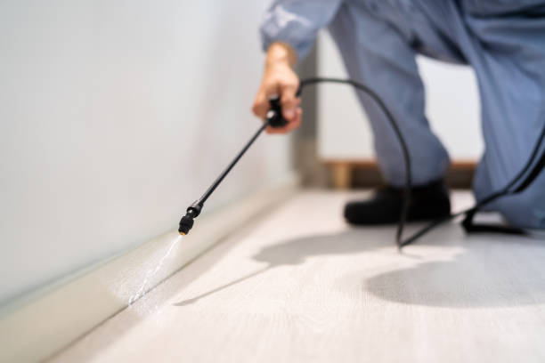 Licensed Cockroach Control service in Annandale, VA - Nex Pest Control