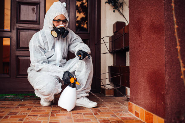 Reliable Cockroach Control contractor in Annandale, VA by Nex Pest Control