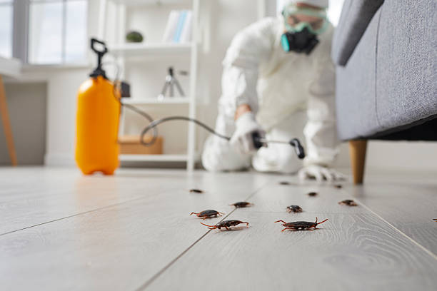 Trusted Bed Bug Control service in Annandale, VA - Nex Pest Control