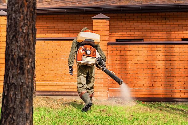 Trusted Rodent Control service in Annandale, VA - Nex Pest Control